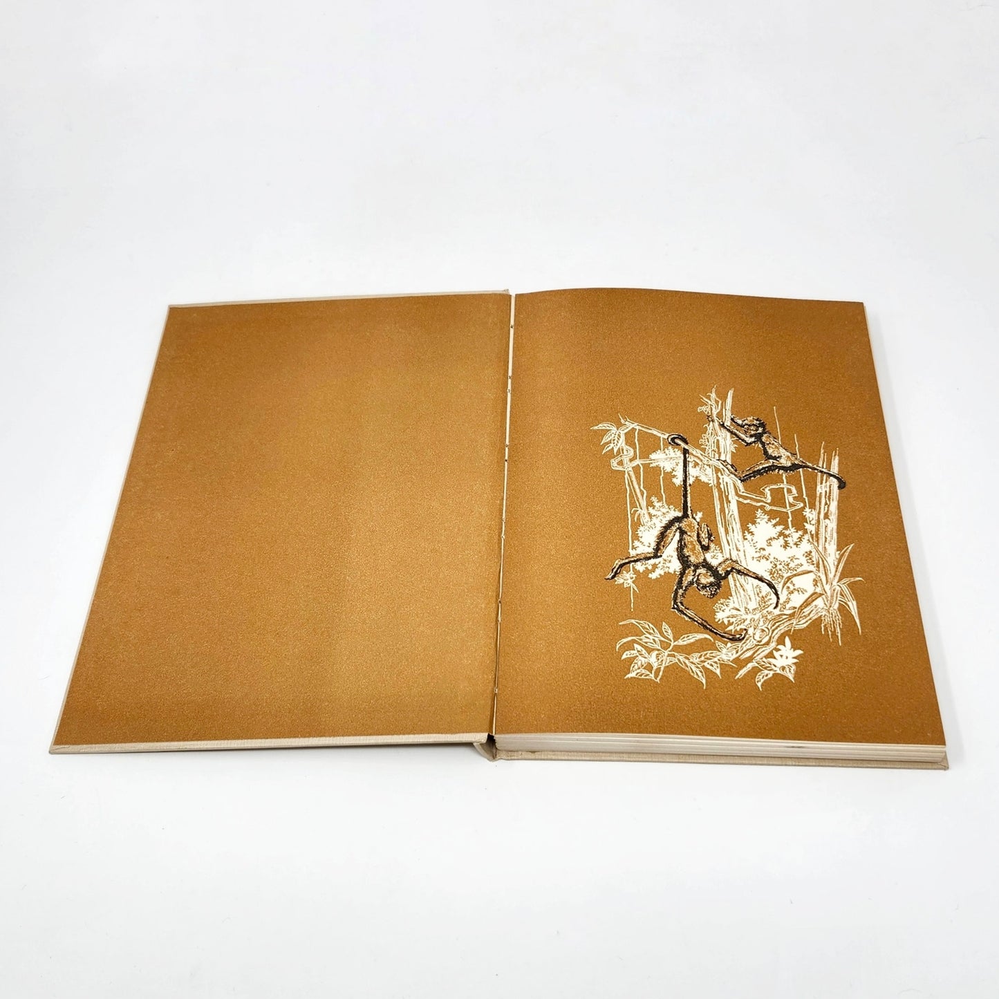 All About Monkeys, Robert S. Lemmon, 1958 Hardcover