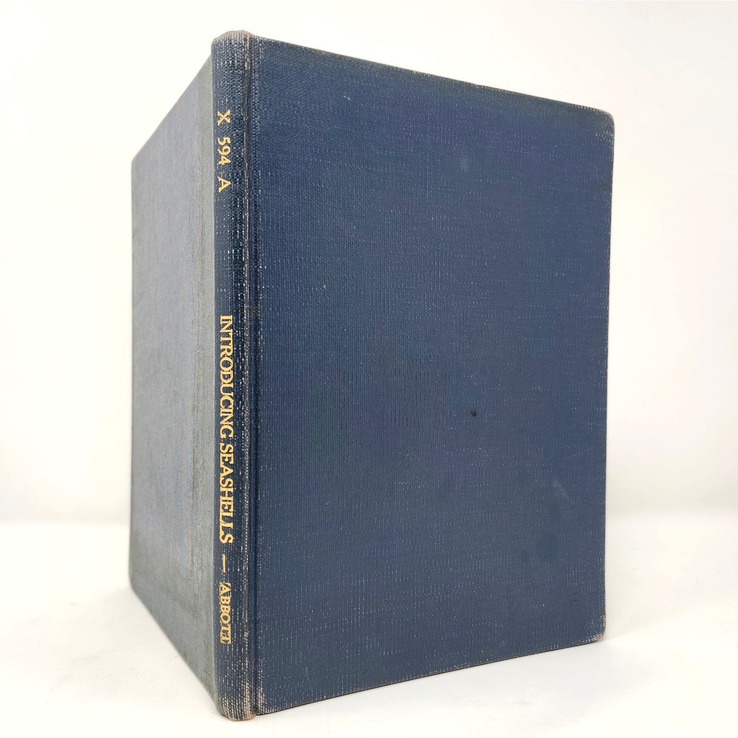 Introducing Seashells — R.T. Abbott, 1955 Vintage Illustrated HC