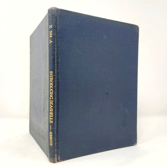 Introducing Seashells — R.T. Abbott, 1955 Vintage Illustrated HC