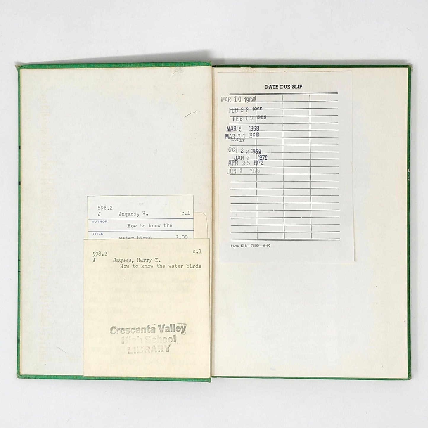 Introducing Seashells — R.T. Abbott, 1955 Vintage Illustrated HC