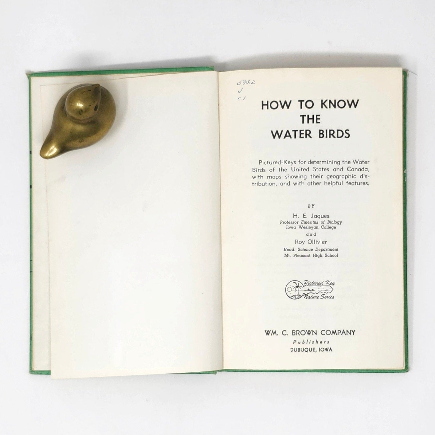 How to Know the Water Birds — Jaques & Ollivier, 1960 Vintage HC