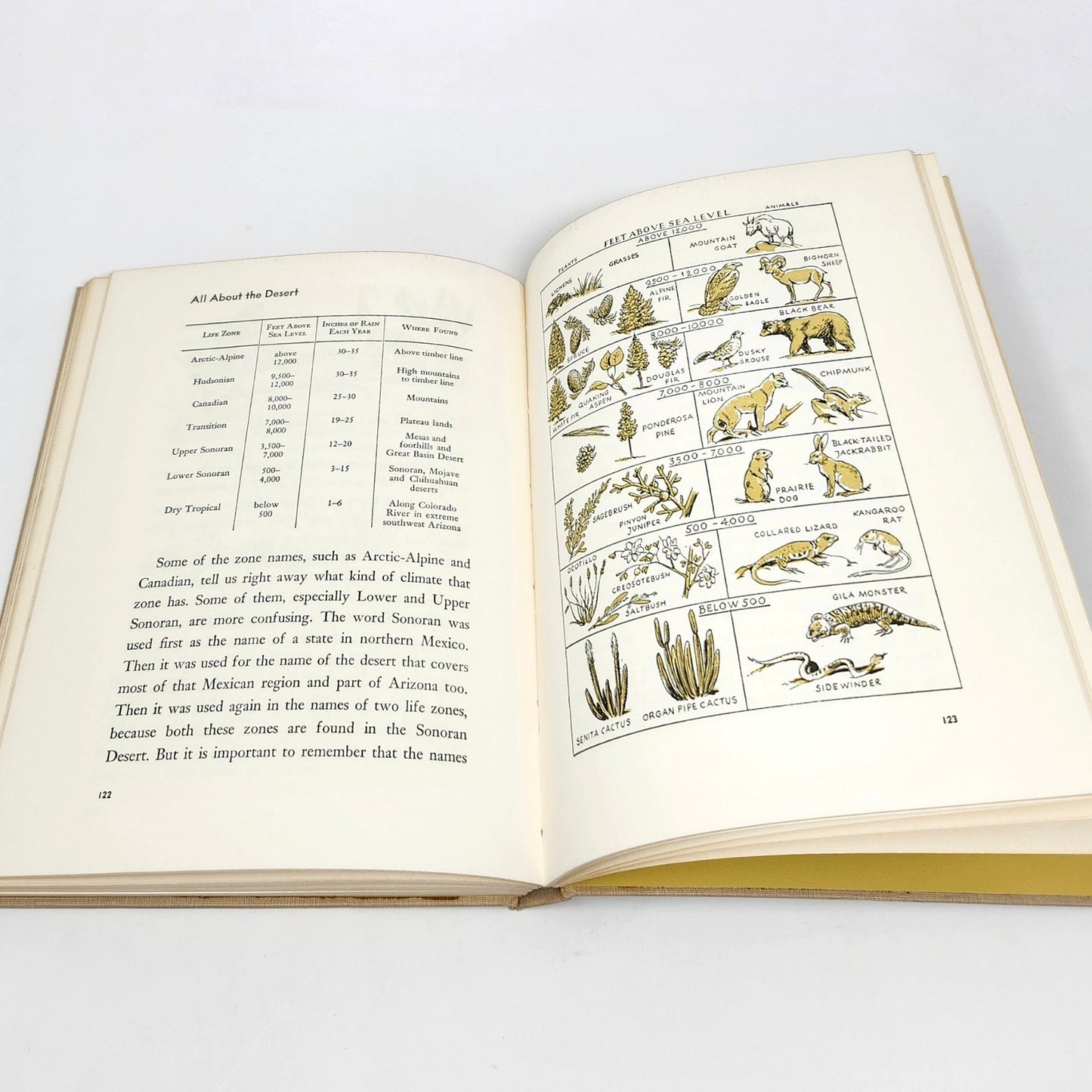 All About The Desert, Sam and Beryl Epstein, 1957 Hardcover