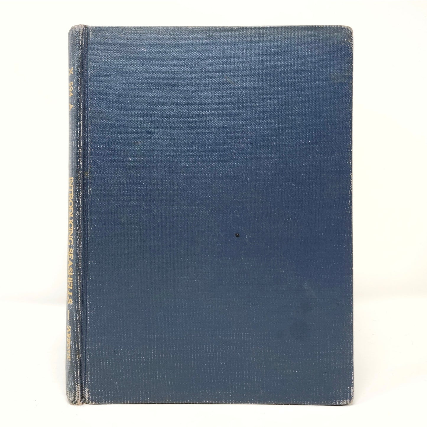 Introducing Seashells — R.T. Abbott, 1955 Vintage Illustrated HC