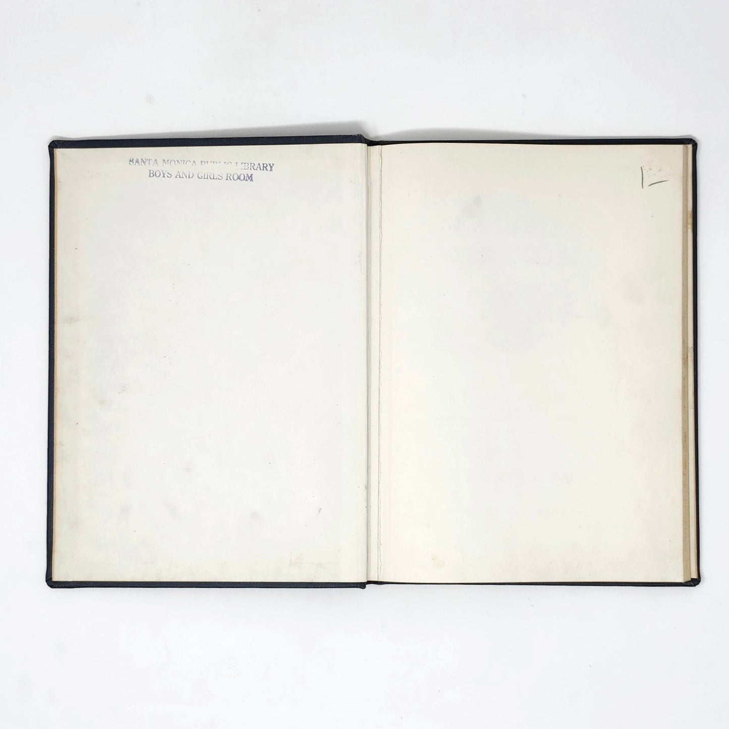 Introducing Seashells — R.T. Abbott, 1955 Vintage Illustrated HC