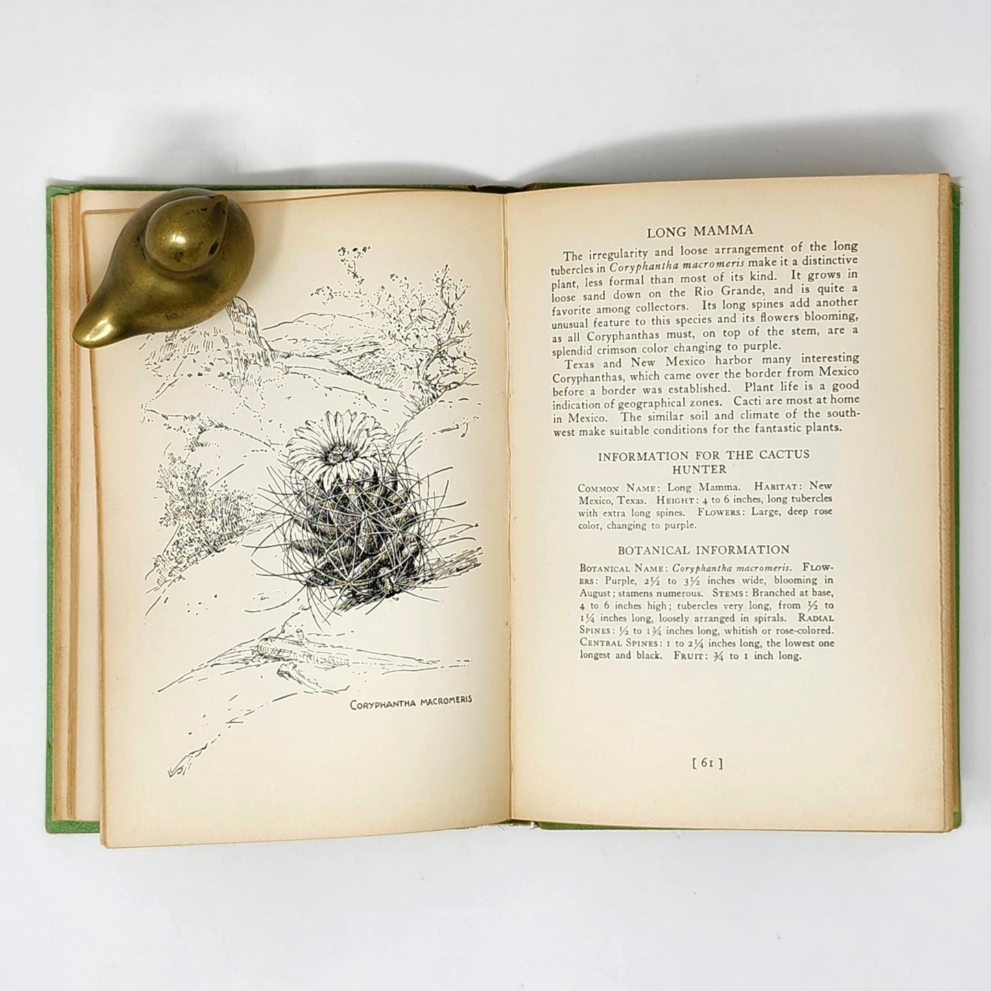 Vintage Green Gardening Book Set of 3 — Armer, Bush-Brown & Kolaga