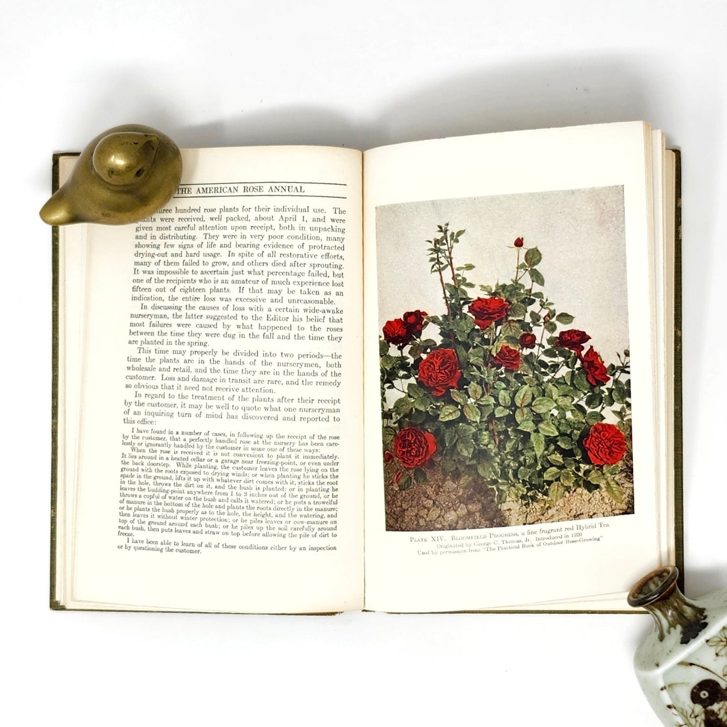 American Rose Annual 1926 — McFarland, Antique Rose Society HC