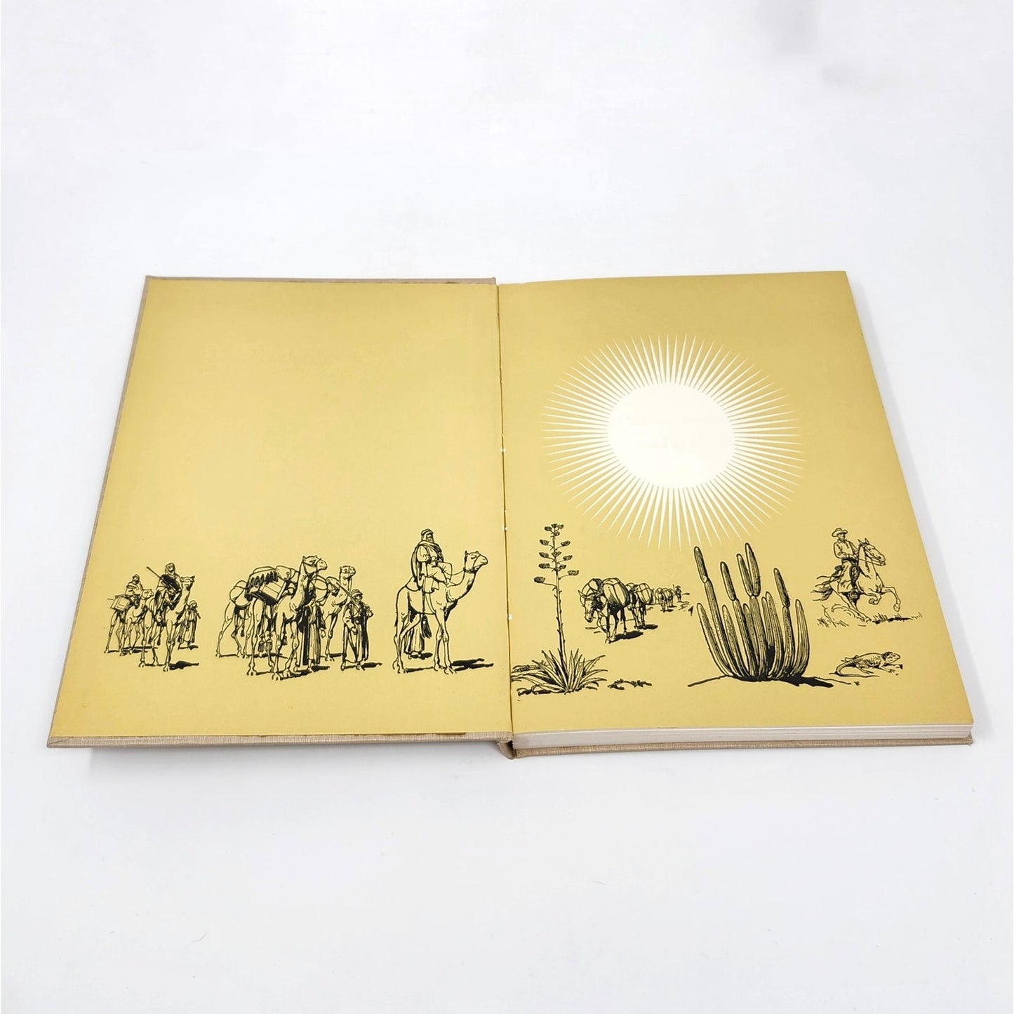 All About The Desert, Sam and Beryl Epstein, 1957 Hardcover