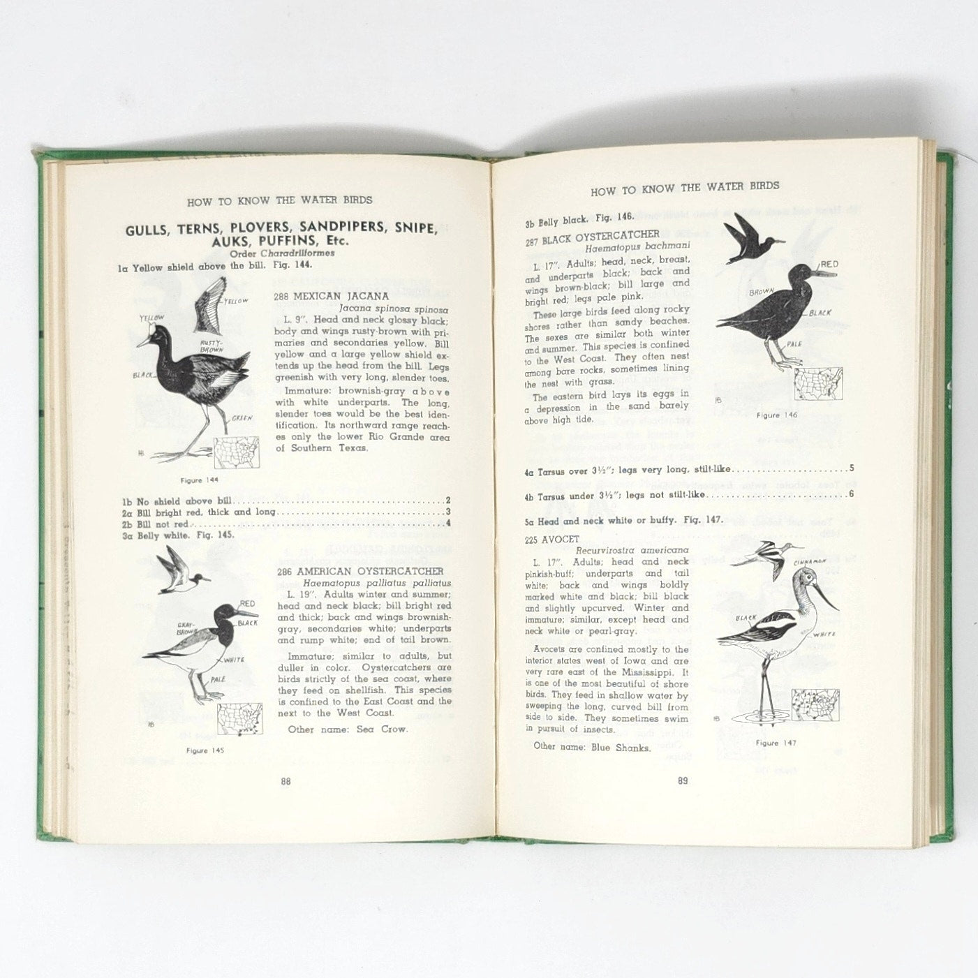 How to Know the Water Birds — Jaques & Ollivier, 1960 Vintage HC