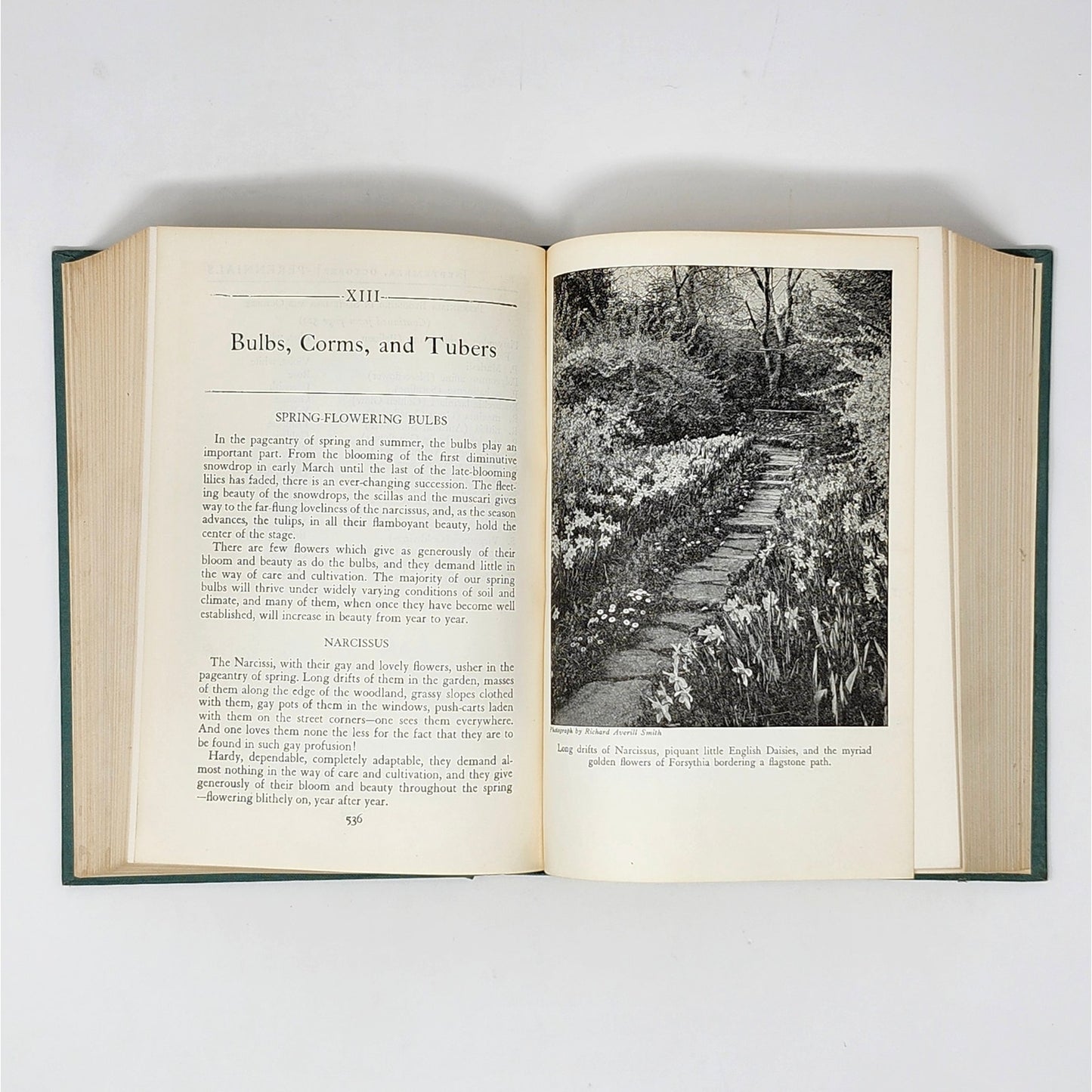 Vintage Green Gardening Book Set of 3 — Armer, Bush-Brown & Kolaga