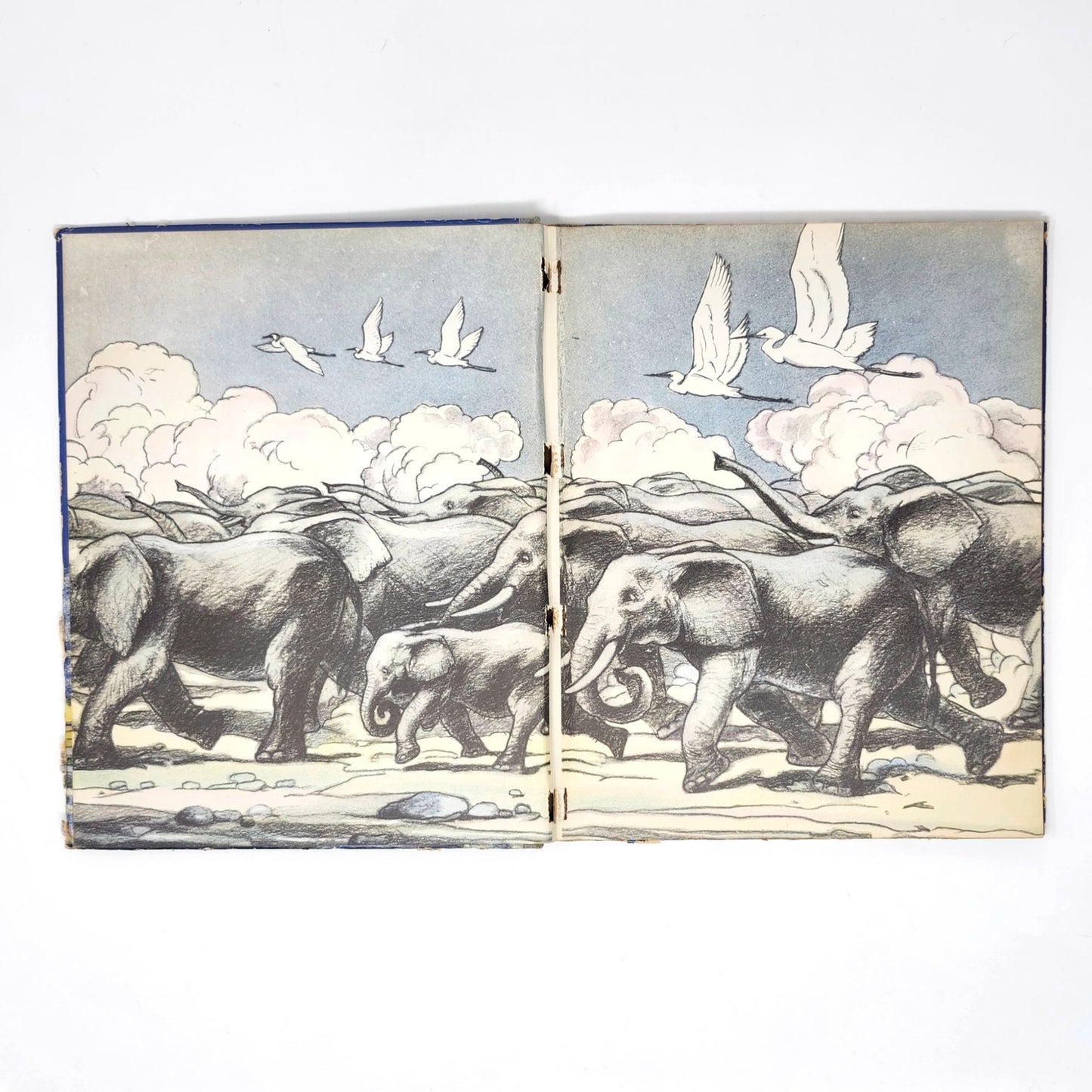 Pantaloons — Osa Johnson, Illus. A.A. Jansson, 1941 Vintage HC