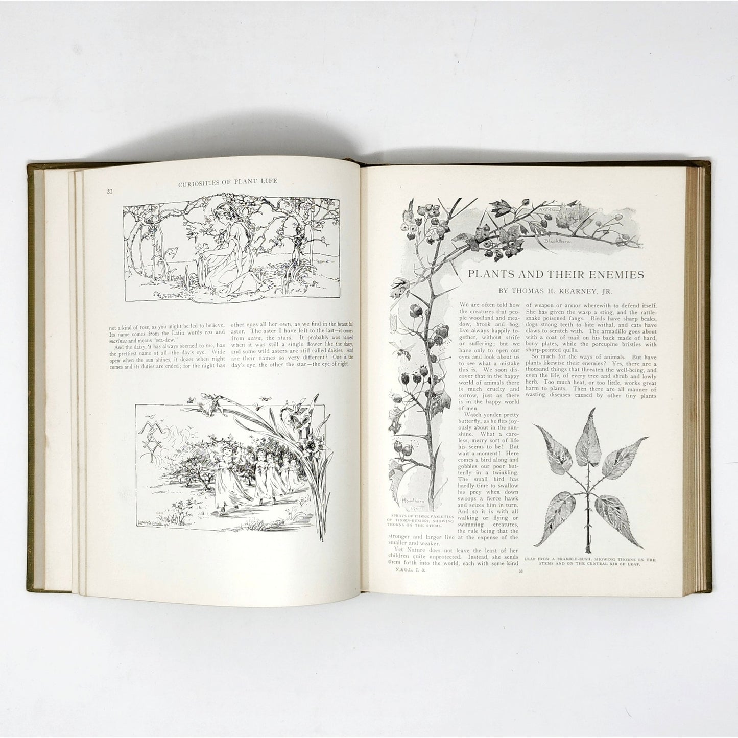 Boys and Girls Bookshelf — 5 Antique Volumes, 1912–1915, Univ. Society