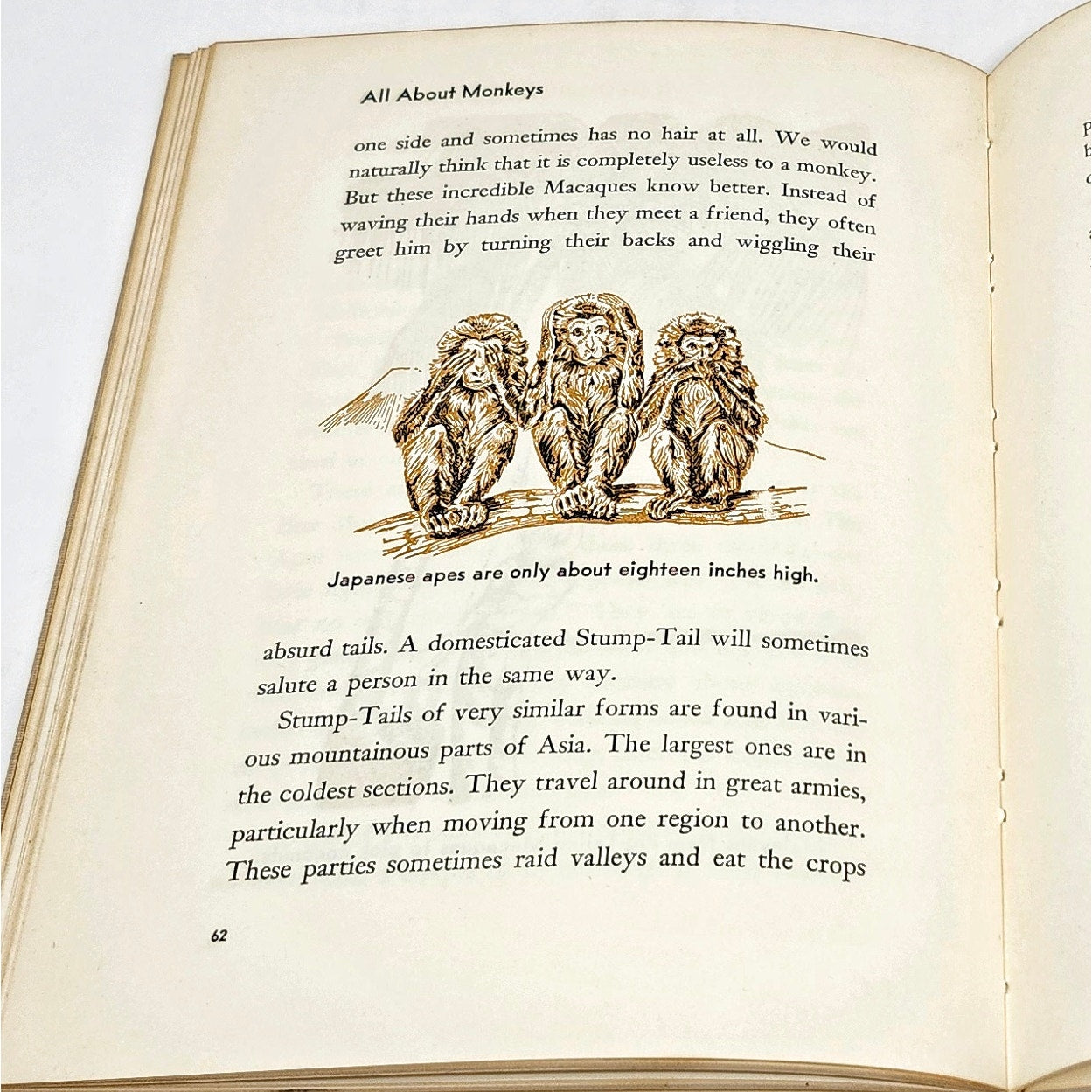 All About Monkeys, Robert S. Lemmon, 1958 Hardcover