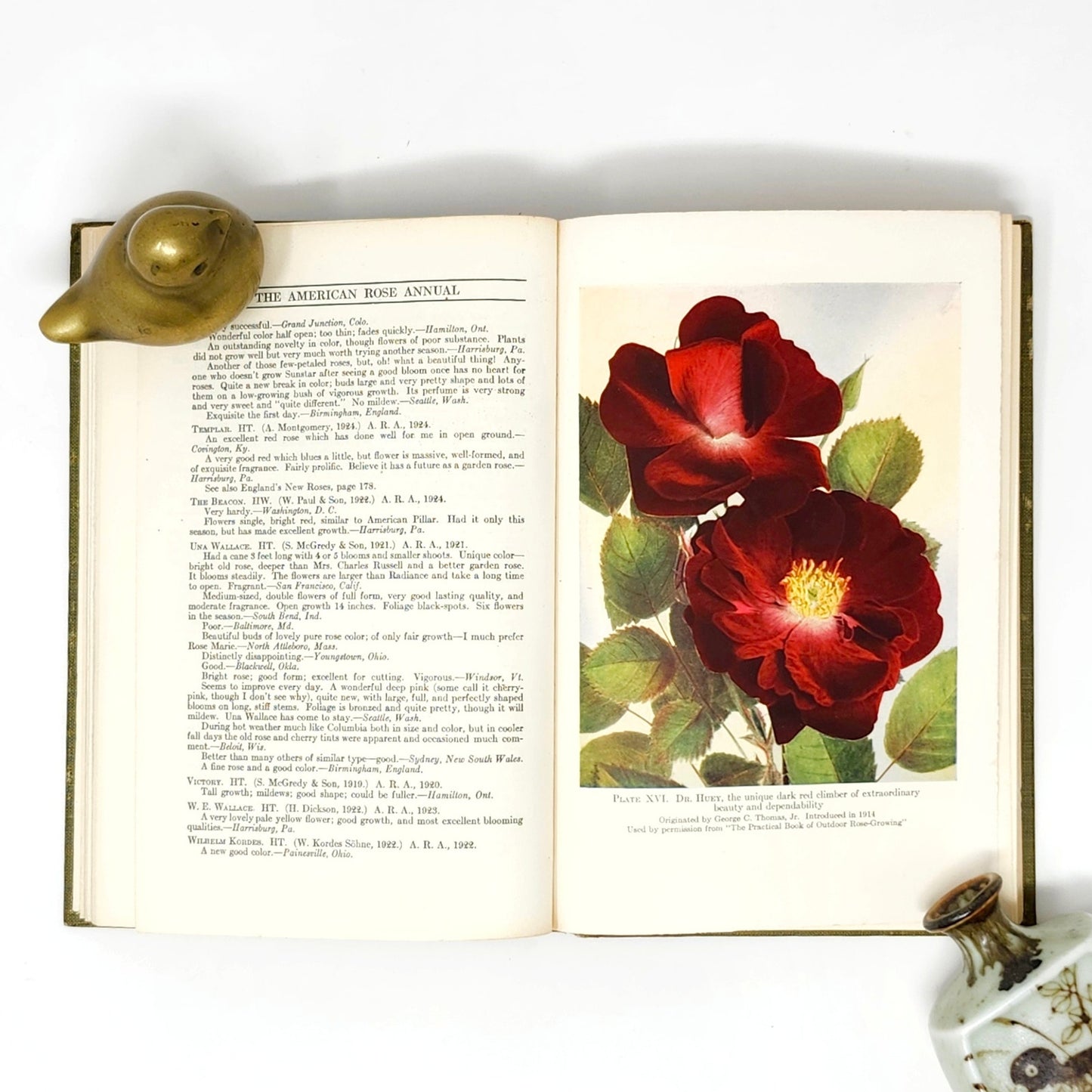 American Rose Annual 1926 — McFarland, Antique Rose Society HC