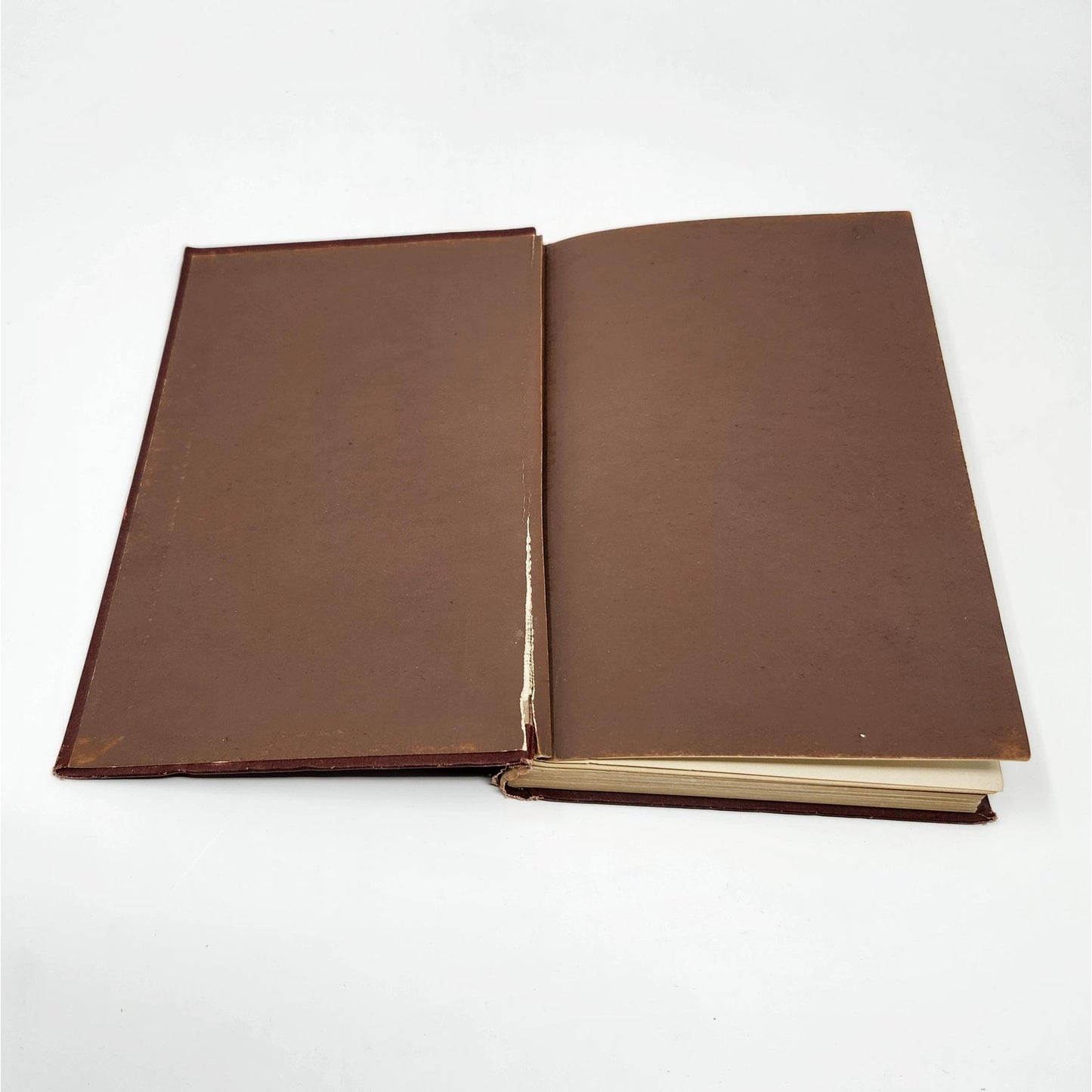 Antique Book Set | Brick Red Tones | Dickens, Acta Pilati