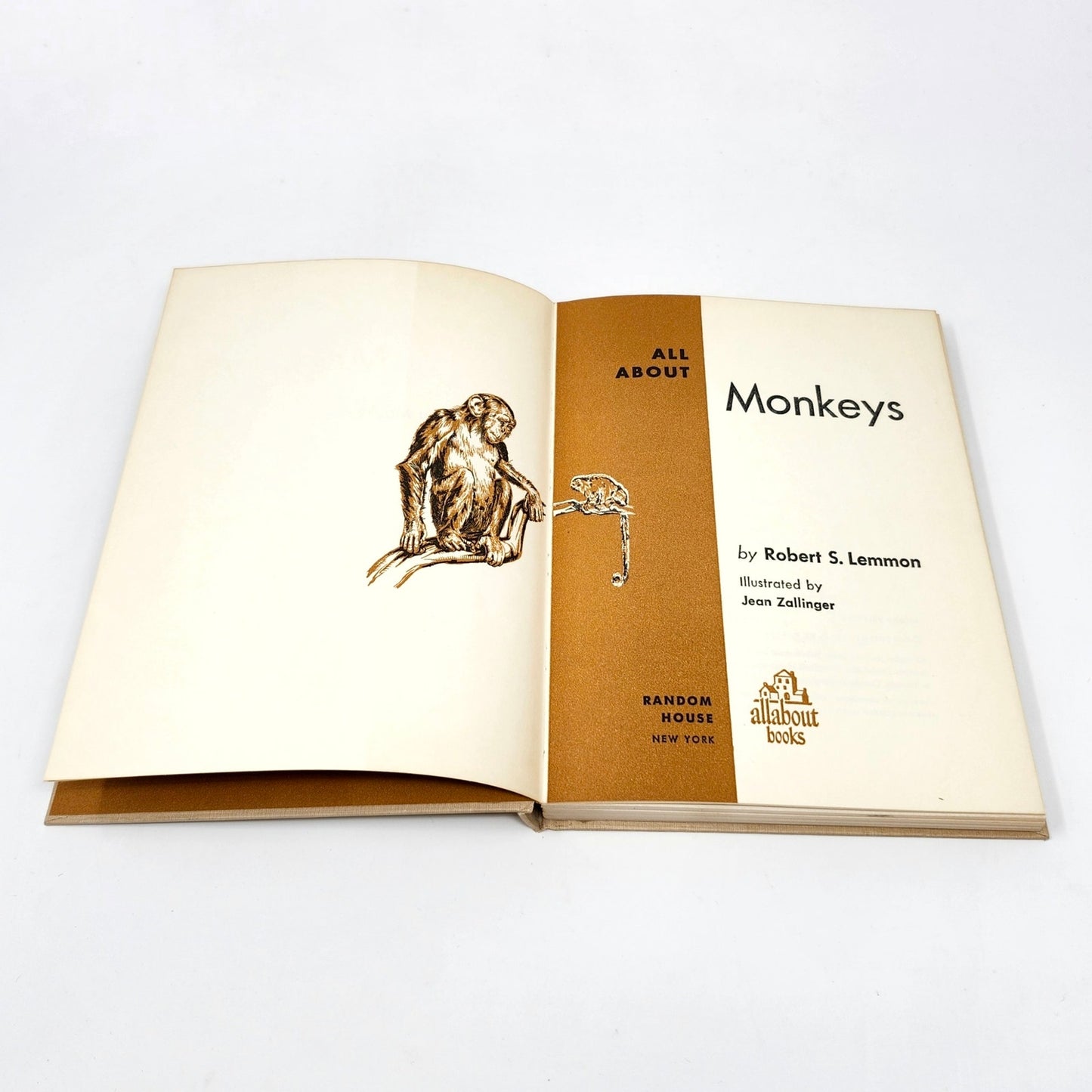 All About Monkeys, Robert S. Lemmon, 1958 Hardcover