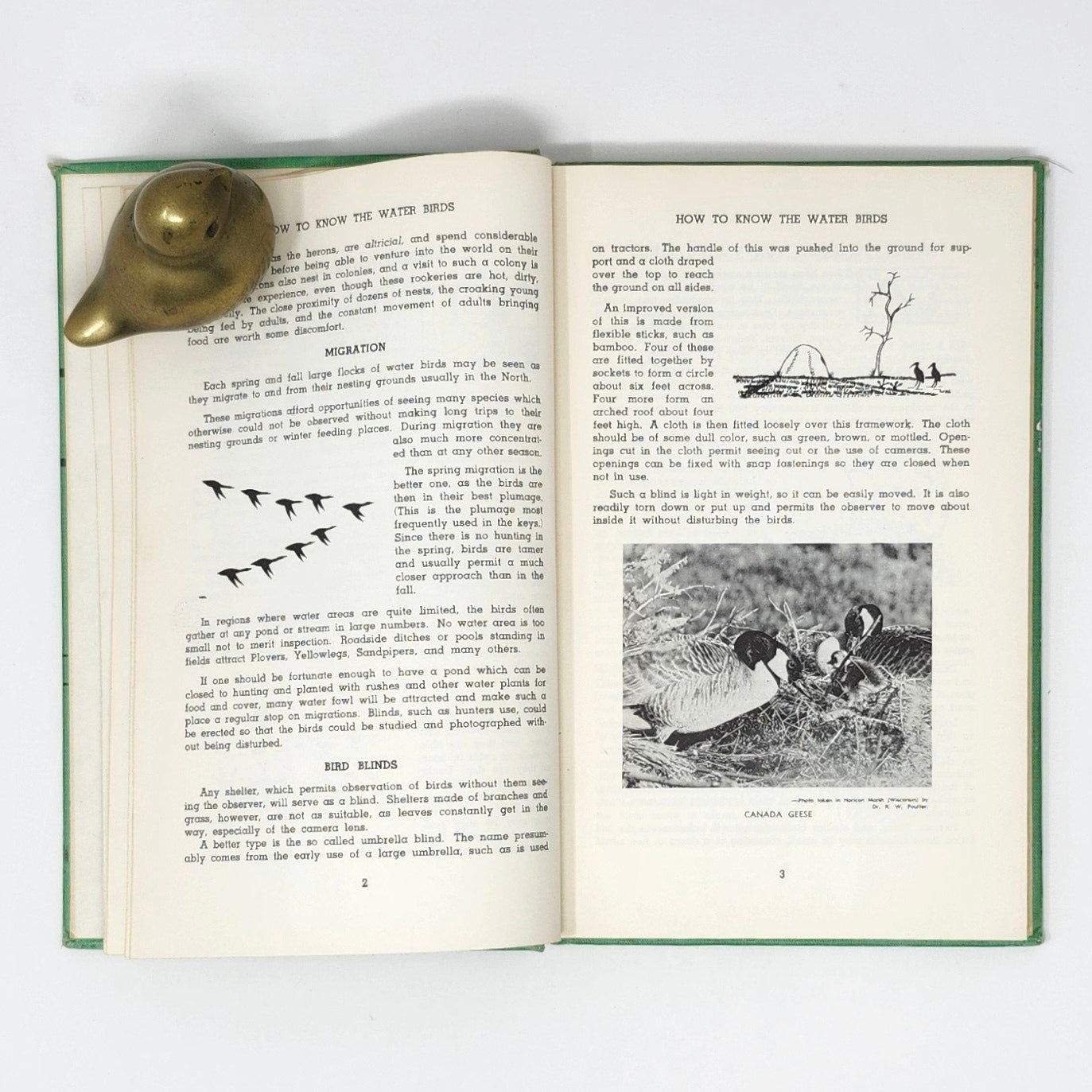 How to Know the Water Birds — Jaques & Ollivier, 1960 Vintage HC
