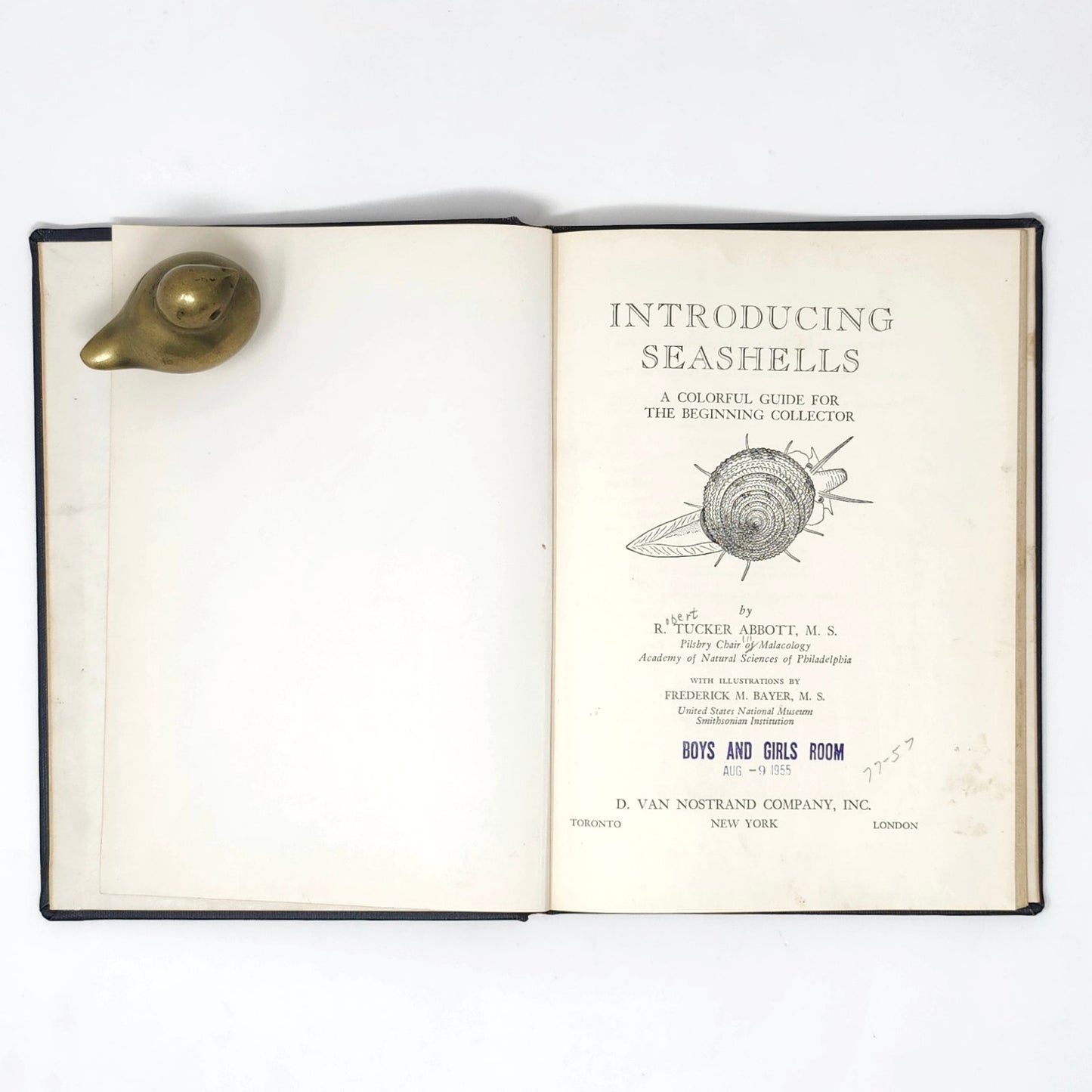 Introducing Seashells — R.T. Abbott, 1955 Vintage Illustrated HC