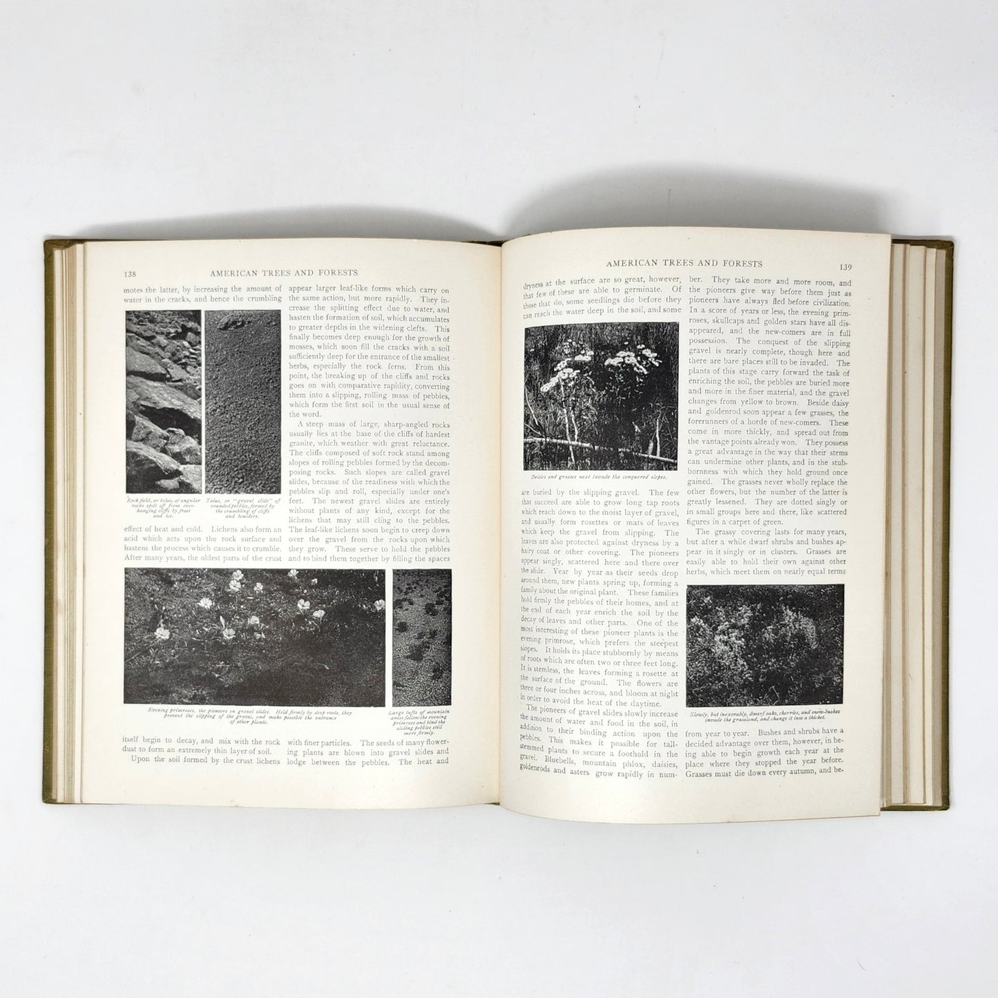 Boys and Girls Bookshelf — 5 Antique Volumes, 1912–1915, Univ. Society