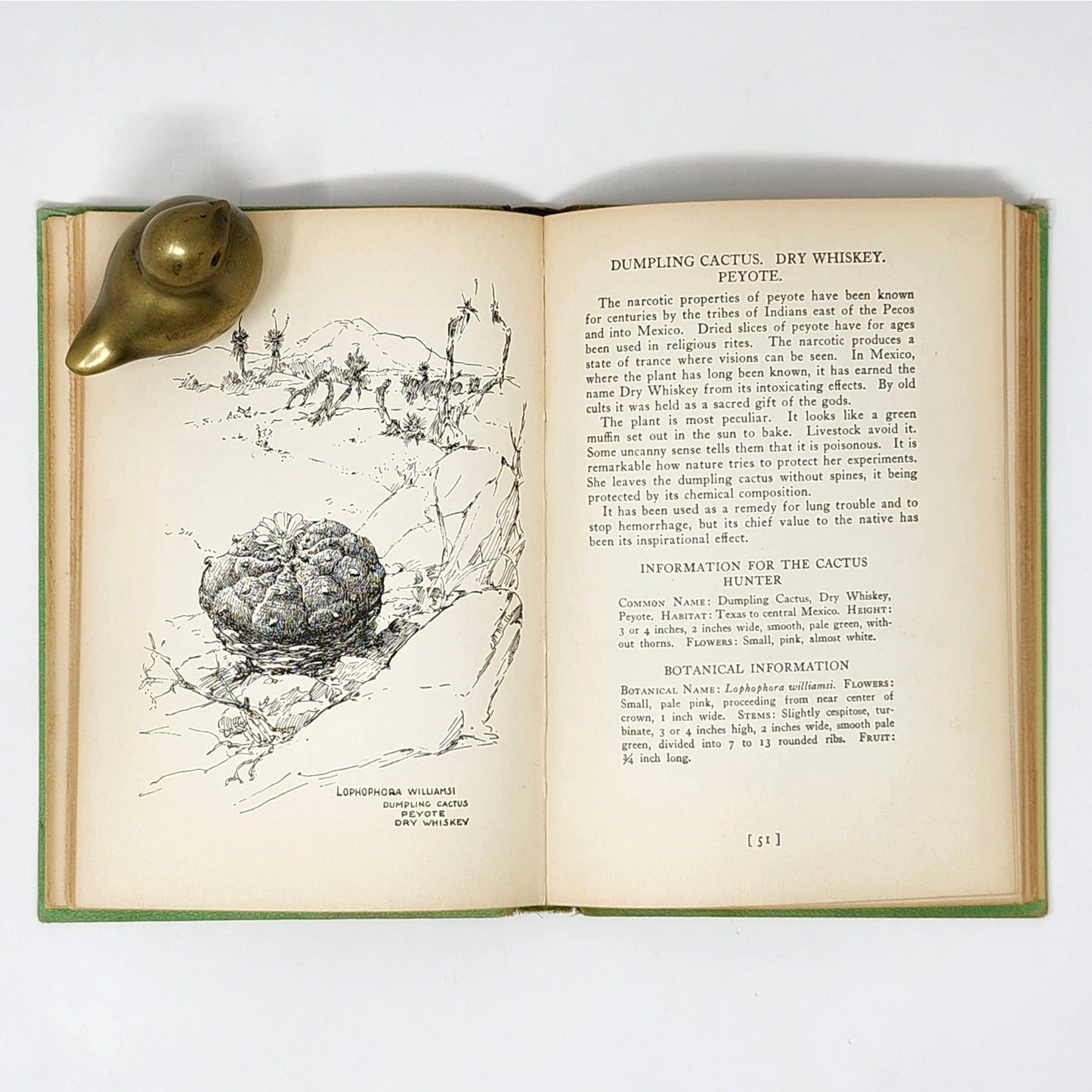Vintage Green Gardening Book Set of 3 — Armer, Bush-Brown & Kolaga