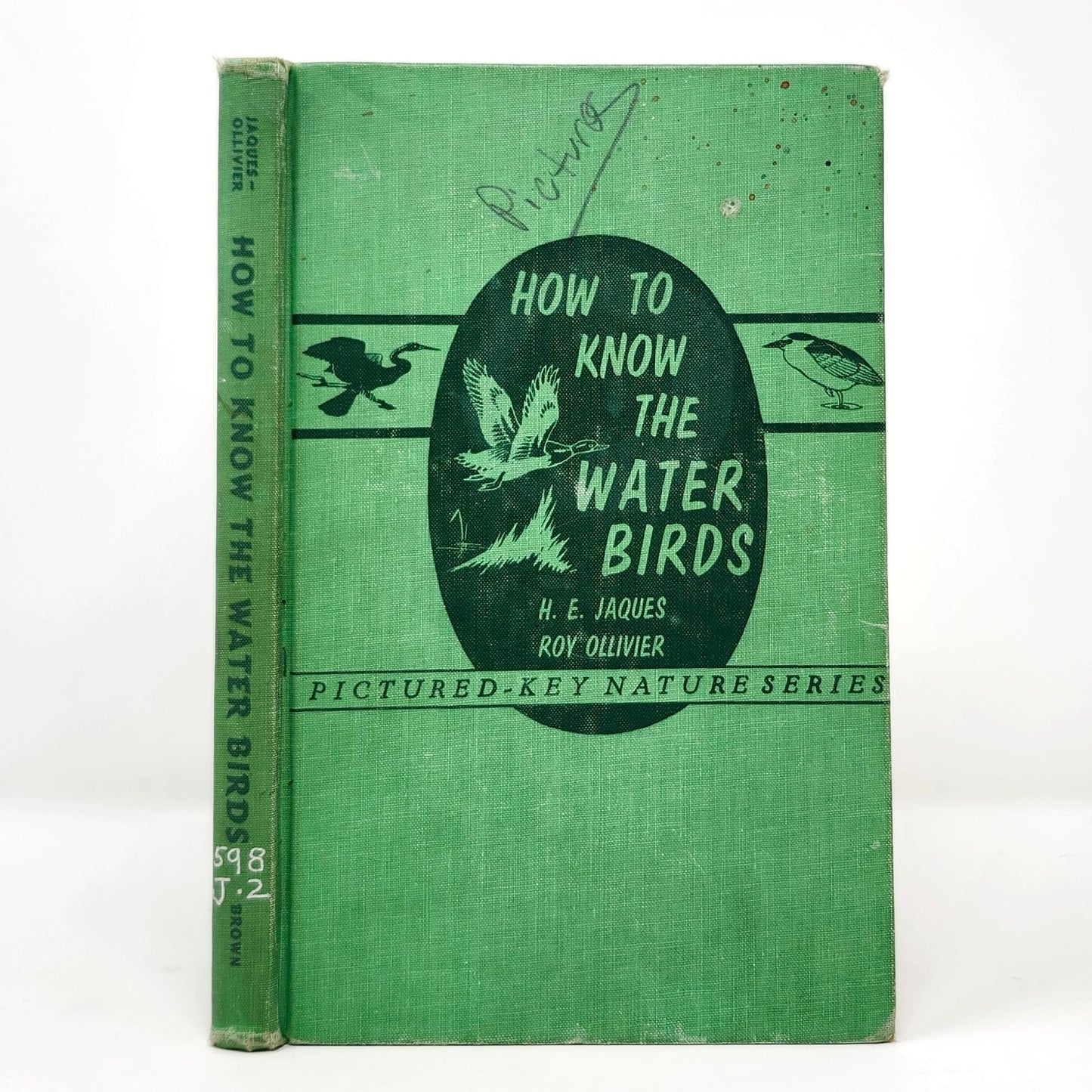 How to Know the Water Birds — Jaques & Ollivier, 1960 Vintage HC