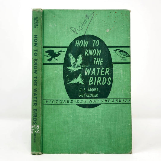 How to Know the Water Birds — Jaques & Ollivier, 1960 Vintage HC