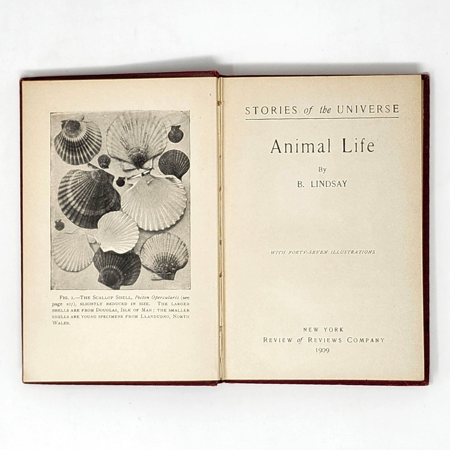 Stories of the Universe — 3-Vol Antique Set, 1909, Red & Gold HC