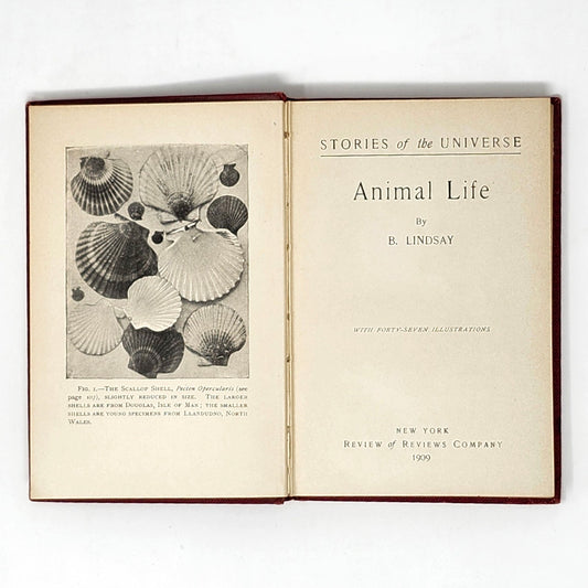 Stories of the Universe — 3-Vol Antique Set, 1909, Red & Gold HC