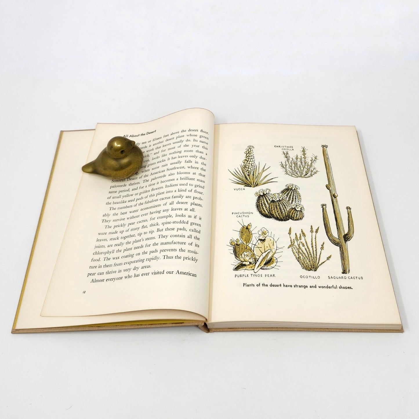 All About The Desert, Sam and Beryl Epstein, 1957 Hardcover