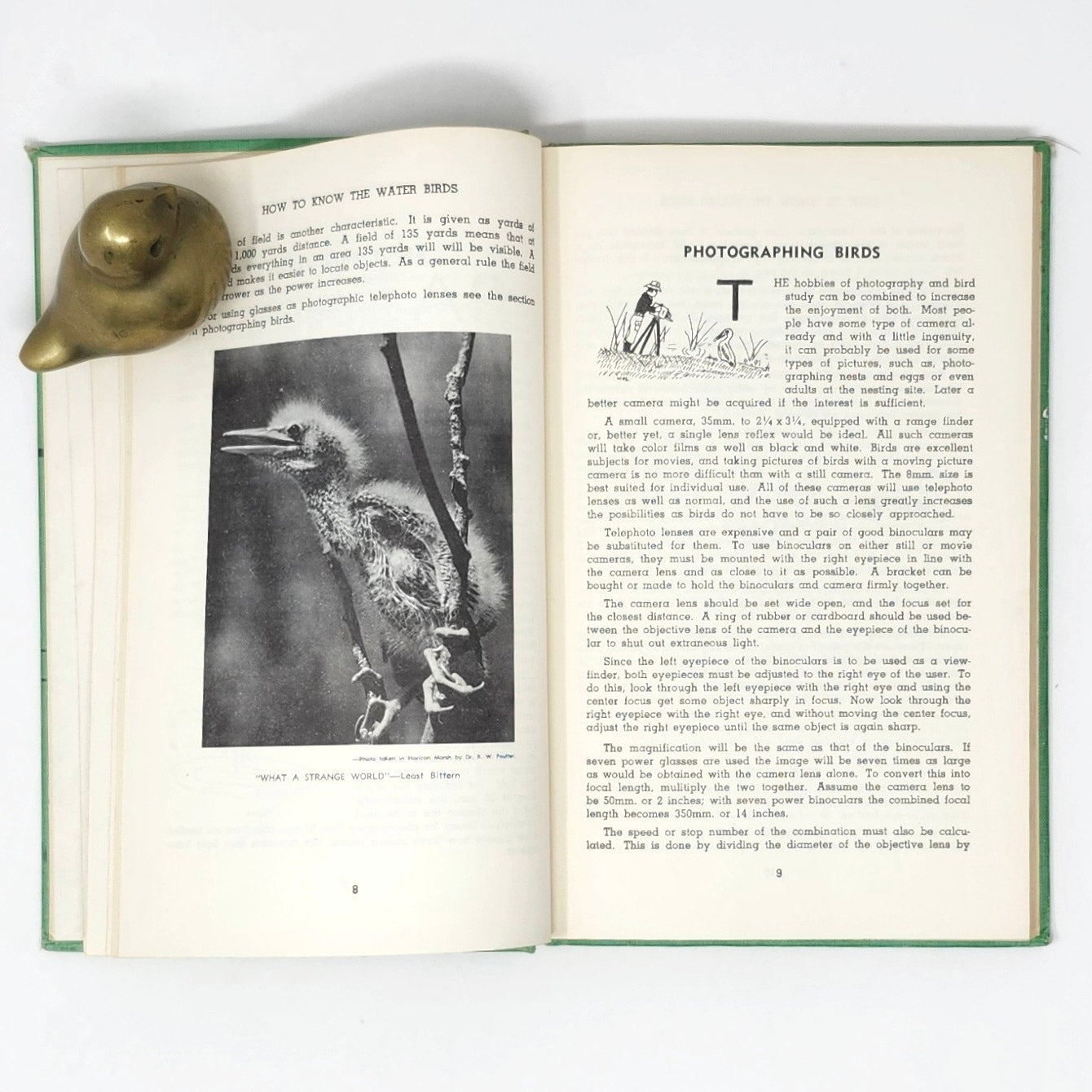 How to Know the Water Birds — Jaques & Ollivier, 1960 Vintage HC