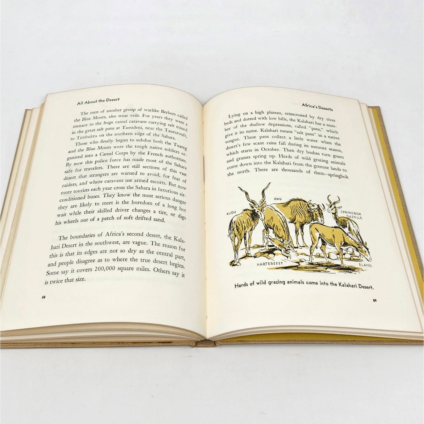 All About The Desert, Sam and Beryl Epstein, 1957 Hardcover
