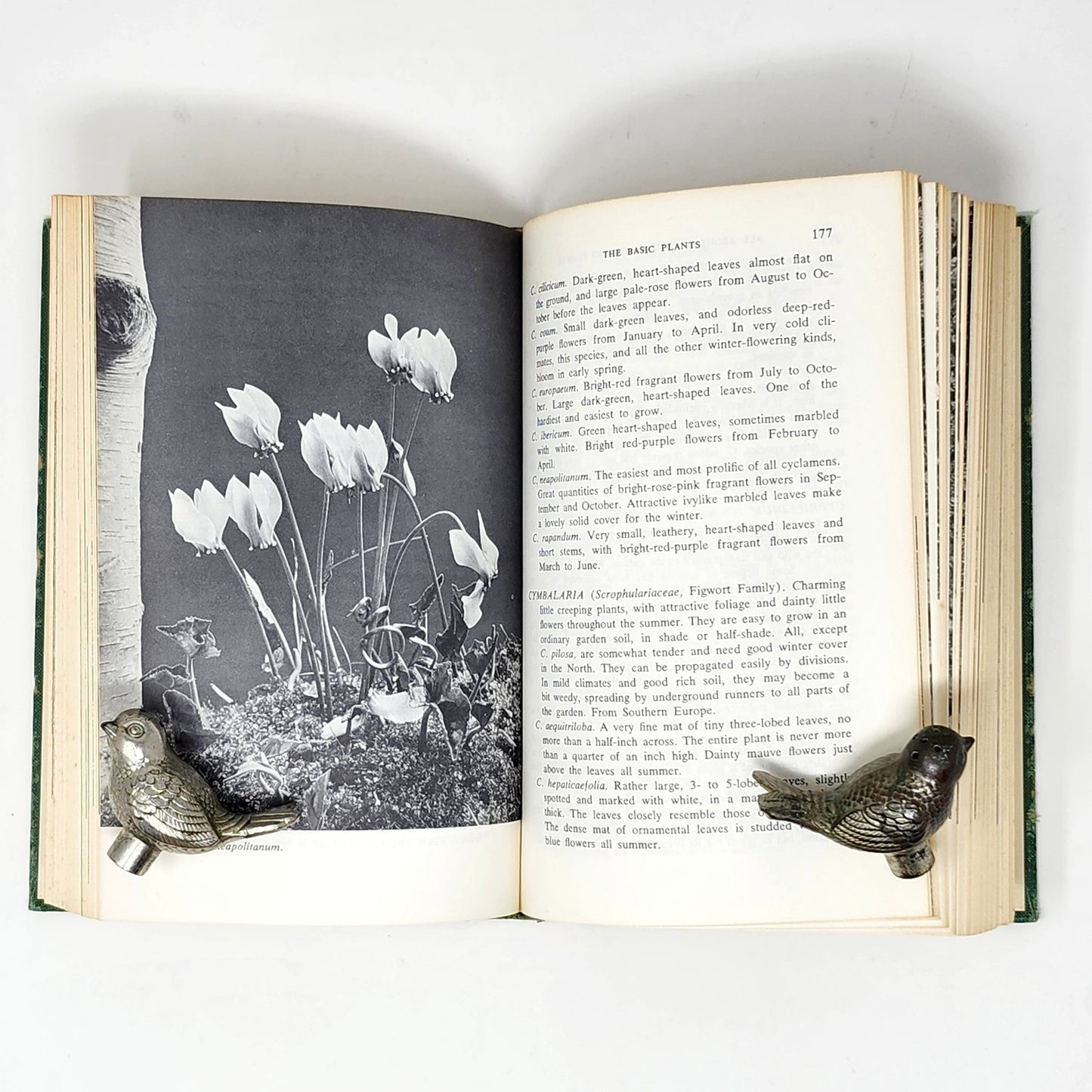Vintage Green Gardening Book Set of 3 — Armer, Bush-Brown & Kolaga