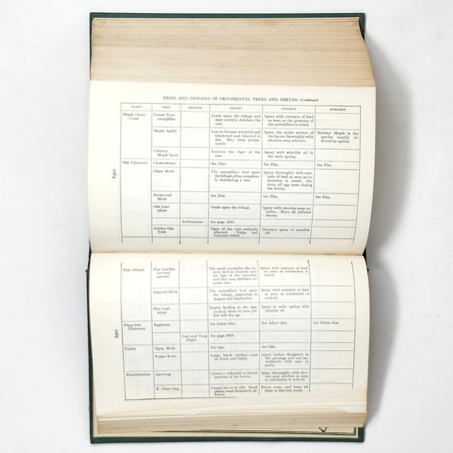 Vintage Green Gardening Book Set of 3 — Armer, Bush-Brown & Kolaga